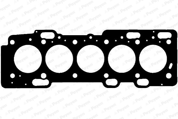 PAYEN Прокладка, головка цилиндра AE5260