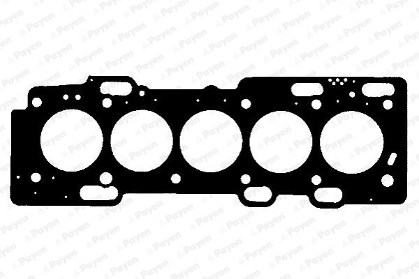 PAYEN Прокладка, головка цилиндра AE5300