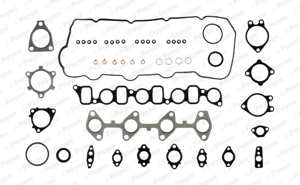PAYEN Blīvju komplekts, Motora bloka galva CG7520