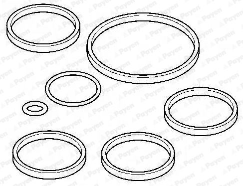 PAYEN Комплект прокладок, впускной коллектор HA5053
