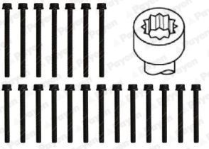 PAYEN Комплект болтов головки цилидра HBS526
