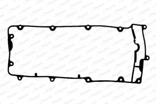 PAYEN Прокладка, крышка головки цилиндра JM5074