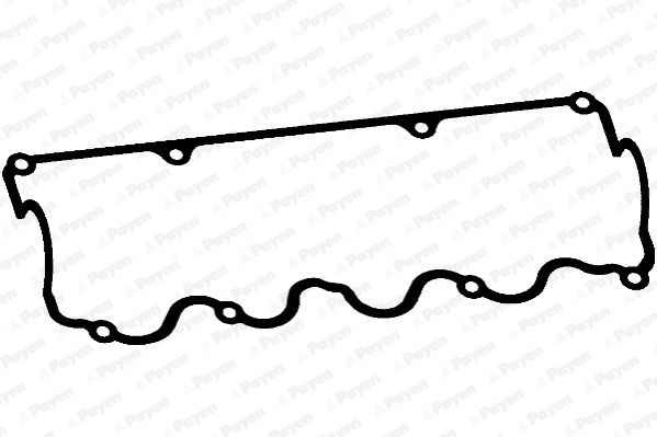 PAYEN Прокладка, крышка головки цилиндра JM5277