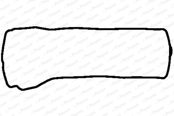 PAYEN Прокладка, крышка головки цилиндра JM5298