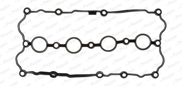 PAYEN Прокладка, крышка головки цилиндра JM7078