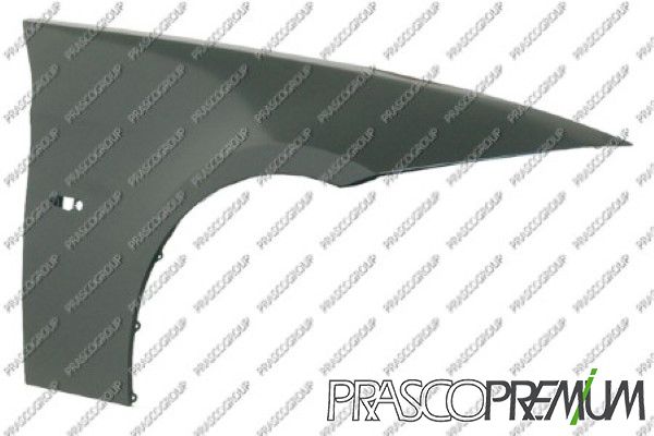 PRASCO Spārns BM0243013