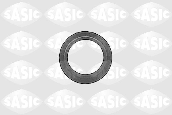 SASIC Уплотняющее кольцо, дифференциал 1213093