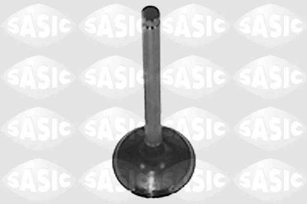 SASIC Выпускной клапан 9490700