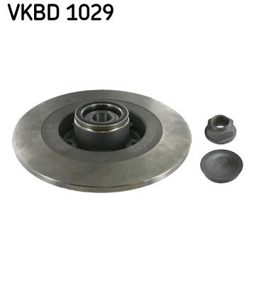 SKF Тормозной диск VKBD 1029