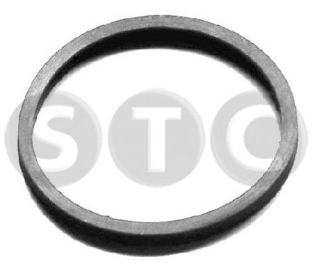 STC Blīve, Termostats T402404