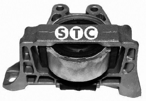 STC Piekare, Dzinējs T405276