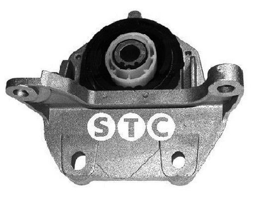 STC Piekare, Dzinējs T405713