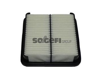TECNOCAR Gaisa filtrs A2010