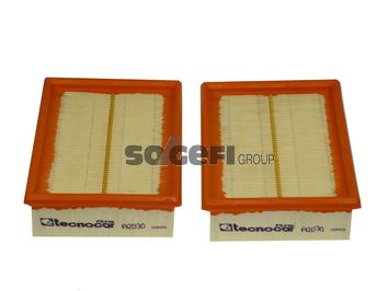 TECNOCAR Gaisa filtrs A2030-2