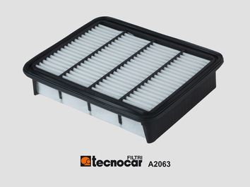 TECNOCAR Gaisa filtrs A2063