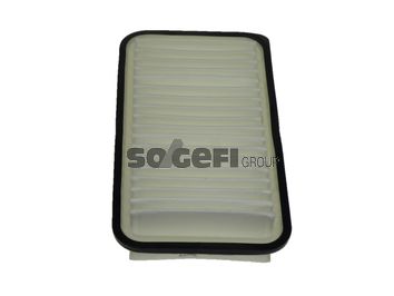 TECNOCAR Gaisa filtrs A2066