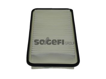 TECNOCAR Gaisa filtrs A2067