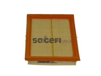 TECNOCAR Gaisa filtrs A2080