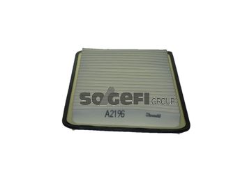 TECNOCAR Gaisa filtrs A2196