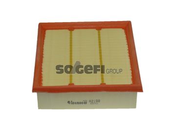 TECNOCAR Gaisa filtrs A2198