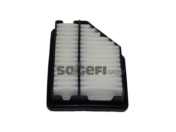 TECNOCAR Gaisa filtrs A2250