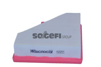 TECNOCAR Gaisa filtrs A2281