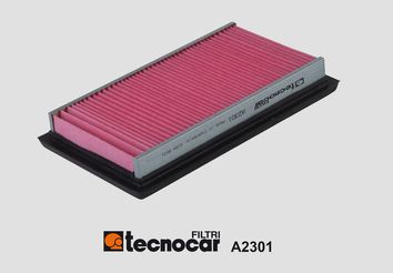 TECNOCAR Gaisa filtrs A2301