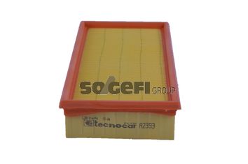 TECNOCAR Gaisa filtrs A2393