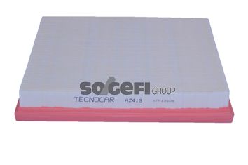 TECNOCAR Gaisa filtrs A2419