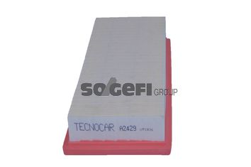 TECNOCAR Gaisa filtrs A2429