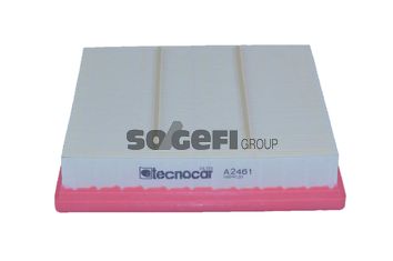 TECNOCAR Gaisa filtrs A2461