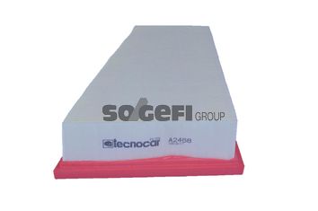 TECNOCAR Gaisa filtrs A2468