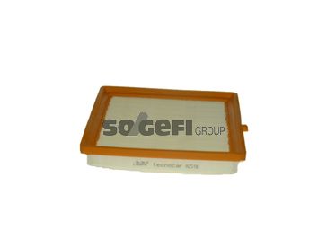 TECNOCAR Gaisa filtrs A2518