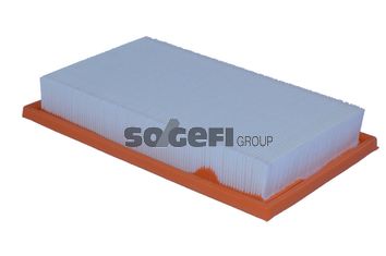 TECNOCAR Gaisa filtrs A2521