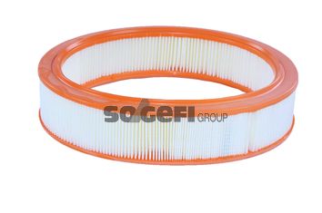 TECNOCAR Gaisa filtrs A409