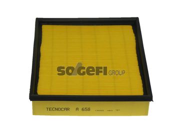 TECNOCAR Gaisa filtrs A658