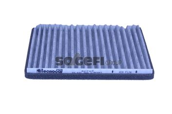 TECNOCAR Filtrs, Salona telpas gaiss EC700