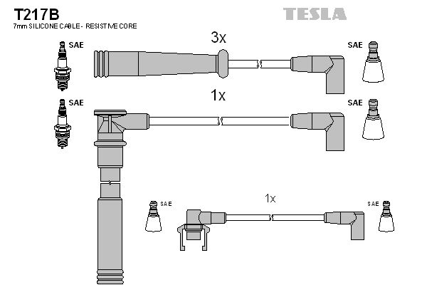 TESLA Комплект проводов зажигания T217B