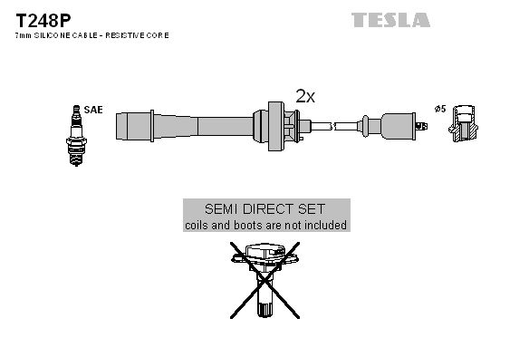 TESLA Комплект проводов зажигания T248P