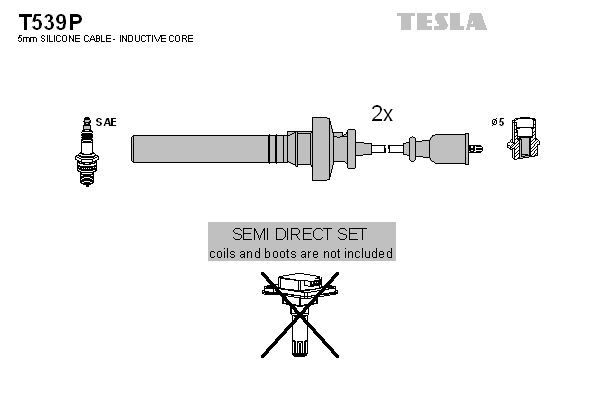 TESLA Комплект проводов зажигания T539P