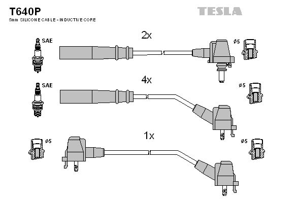 TESLA Комплект проводов зажигания T640P