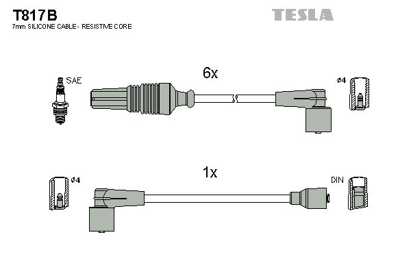 TESLA Комплект проводов зажигания T817B