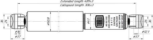 TRIALLI Амортизатор AG 01502