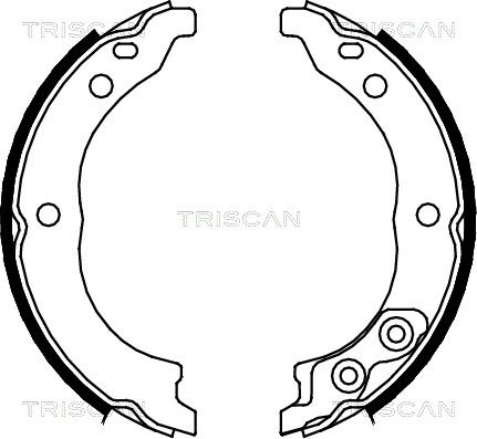 TRISCAN Комплект тормозных колодок, стояночная тормозная с 8100 10010