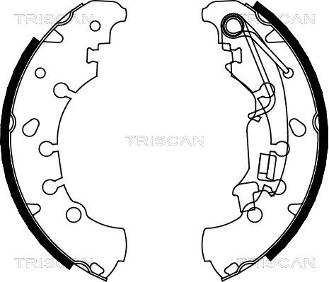TRISCAN Комплект тормозных колодок 8100 10011