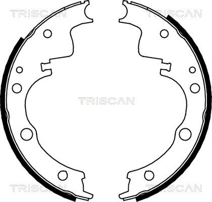 TRISCAN Комплект тормозных колодок 8100 10014