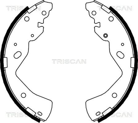 TRISCAN Комплект тормозных колодок 8100 10018
