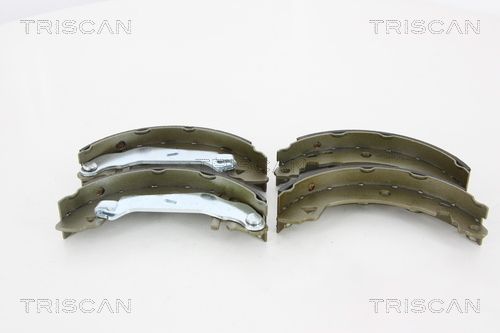 TRISCAN Комплект тормозных колодок 8100 10021