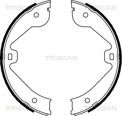 TRISCAN Комплект тормозных колодок 8100 10022