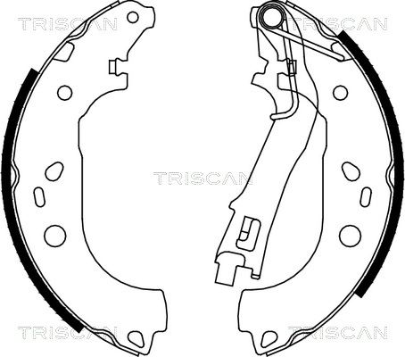 TRISCAN Комплект тормозных колодок 8100 10028